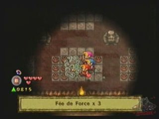 Zelda Four Sword Adventure 3/Grotte Des Ames Perdues