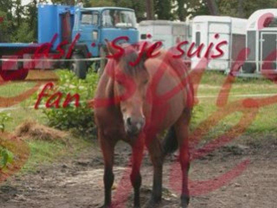nina video 1