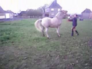 Loustal qui se cabre a ma demande