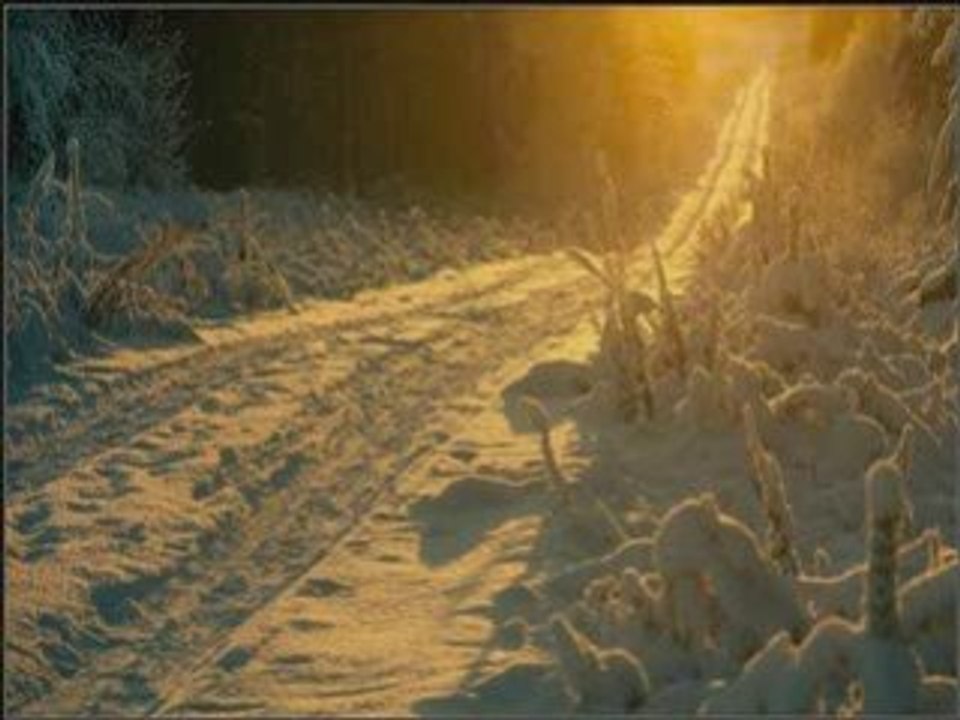 Paysages de froid