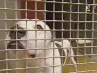 SPA MARSEILLE PROVENCE