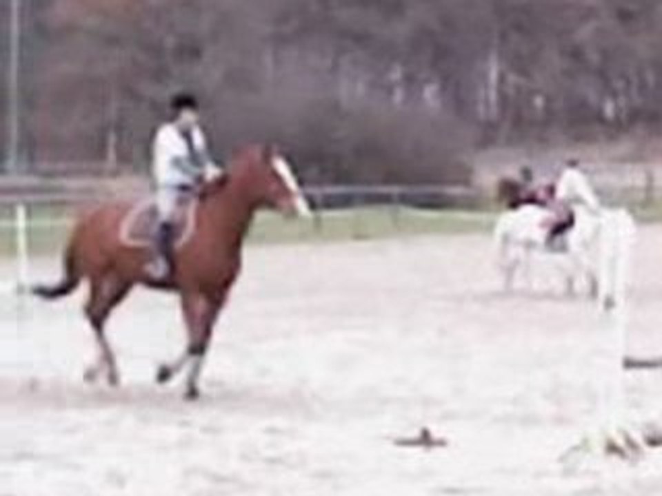 Magica novembre 2008