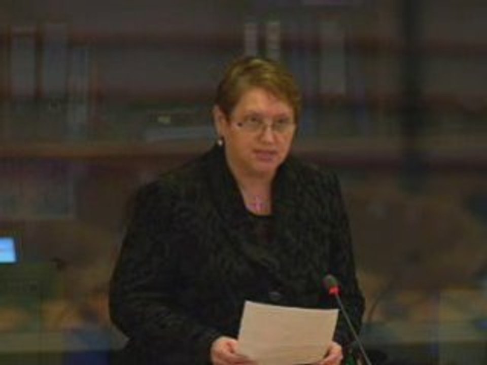 Renate Weber on Arms exports