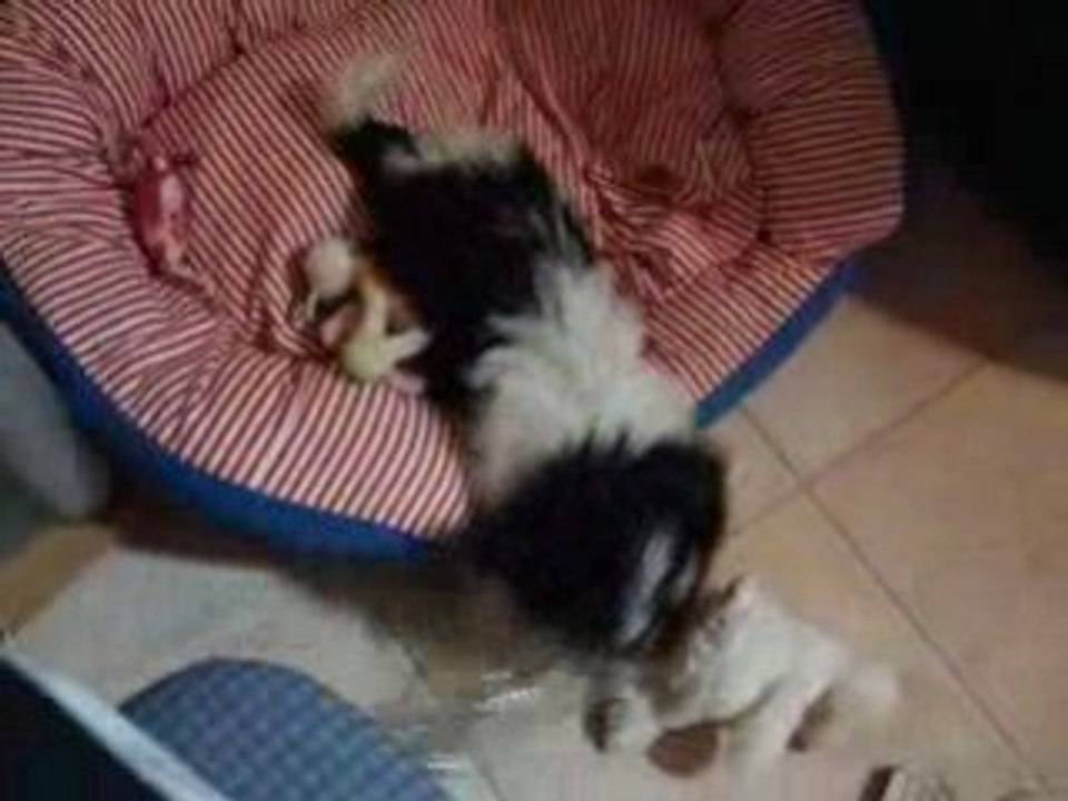 Vidéo 079
