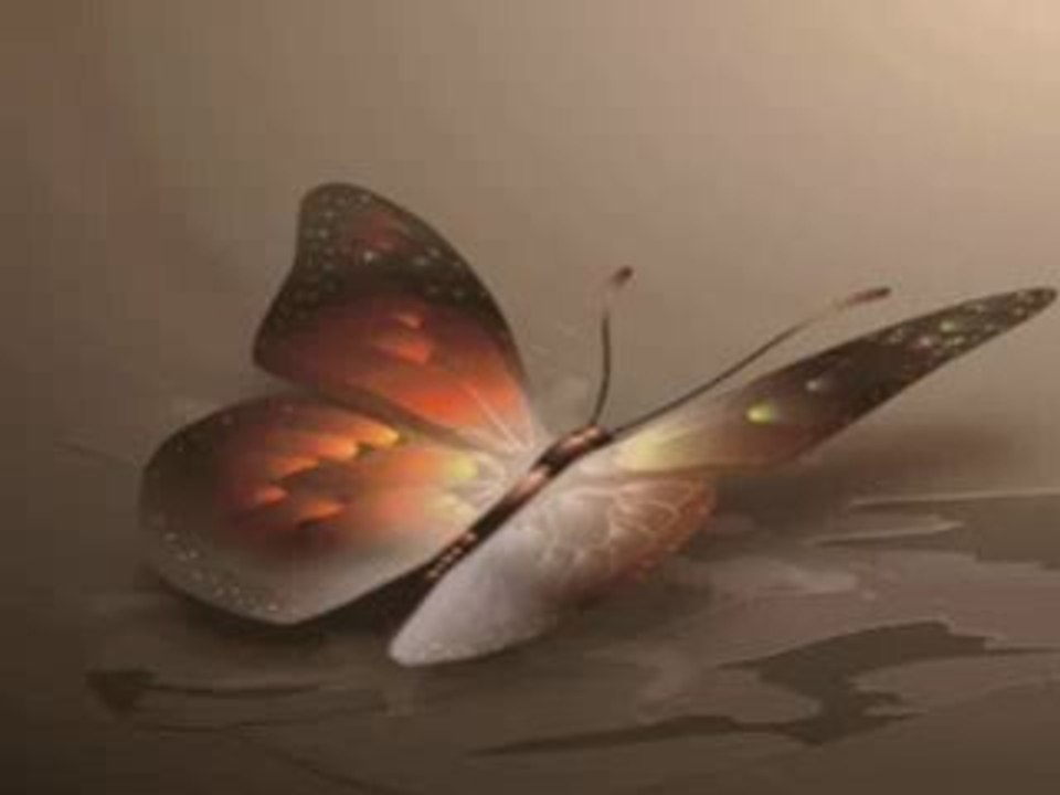 Ewelinka_