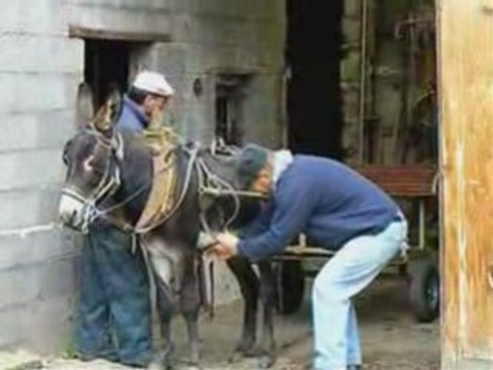 L'ANE PEPITO