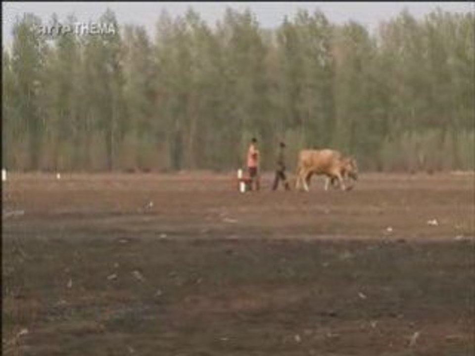 Crise (2sur5) Alimentaire