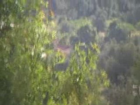 beaux paysages kabyles au printemps