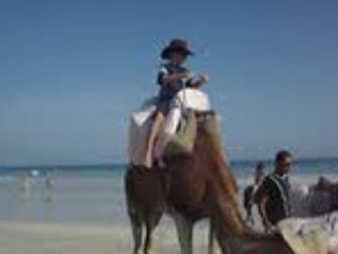 Chameau lorrain vacances Djerba 2008 qui se couche