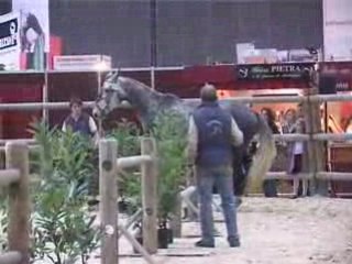 Ecuries de Cétéreau QUEZAC Equita'Lyon 2008