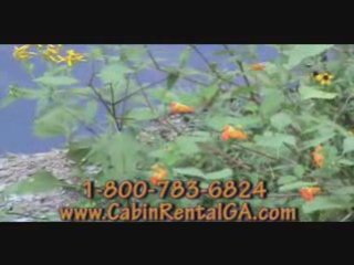 North Georgia Cabins Foothills of Blue Ridge Mountains