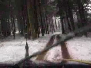 Bonne et Heureuse Année 2009