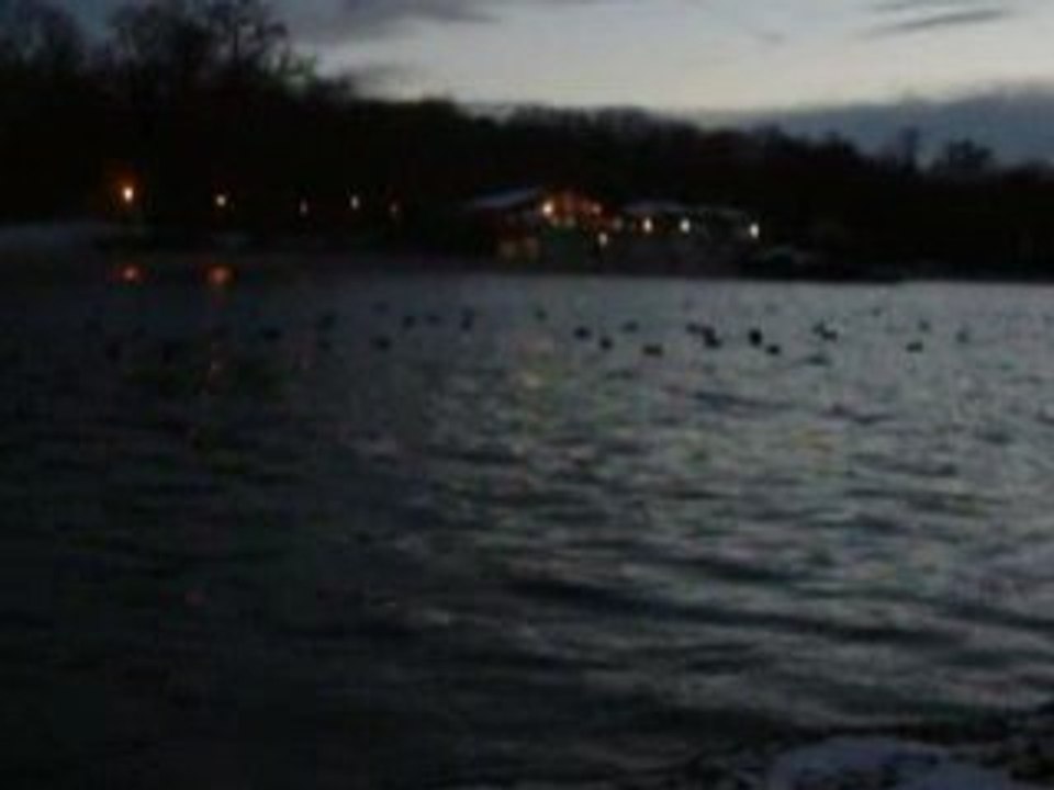 22/11/08 : AU BORD DU BAGGERSEE