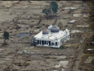 Les miracles de la vie