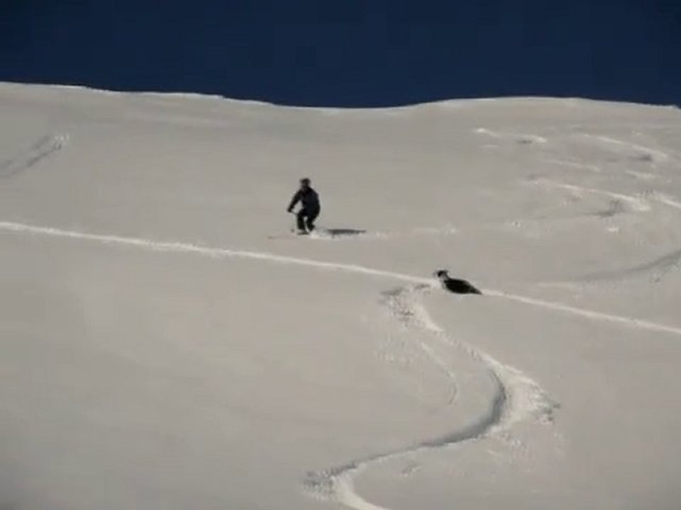 Ski de rando à la Crête de Cote Plaine (2700m) - Lautaret