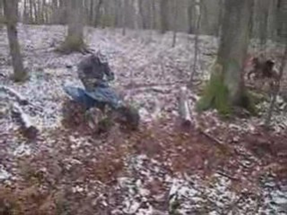 Yamaha quad