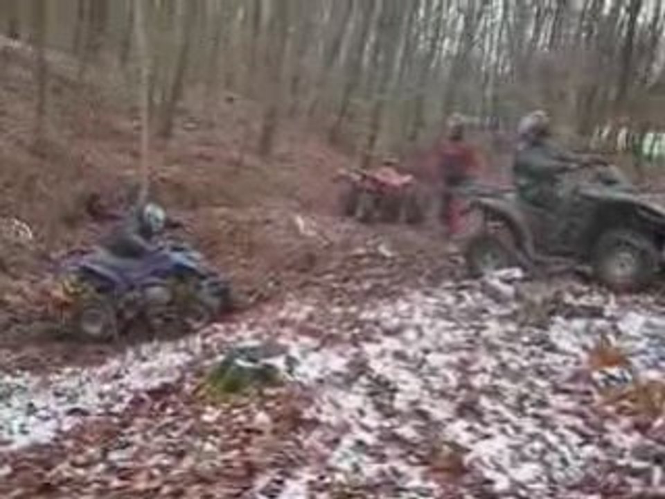 Yamaha quad