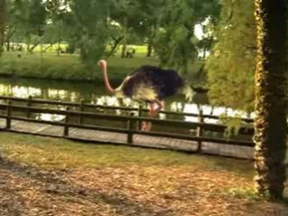 Special Effects Showreel