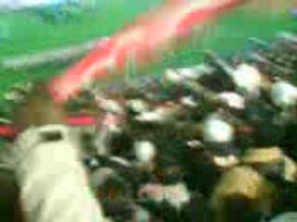 PSG - Lyon -- Fin de match