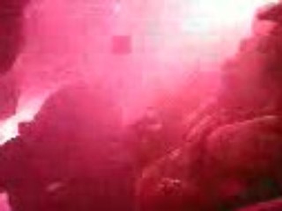 Fumigènes (PSG-LYON) entré des joueurs