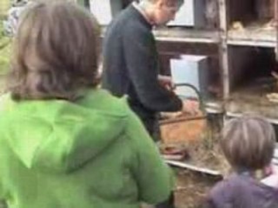 Eléa et les Lapins