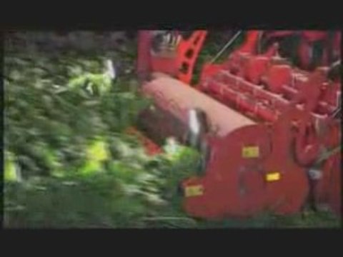 Arracheuse a betterave grimme