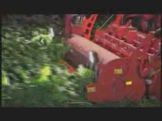 Arracheuse a betterave grimme