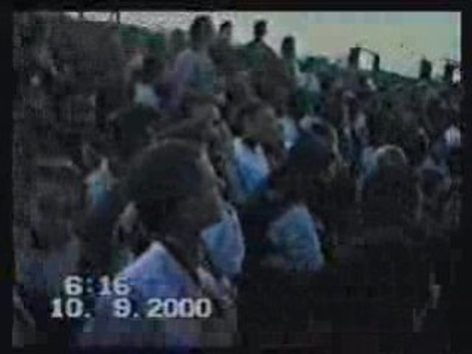 Assiut24
