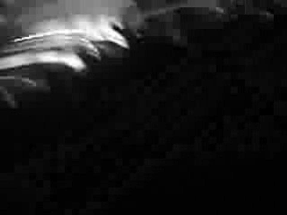 simple plan en concert a lille 22/11