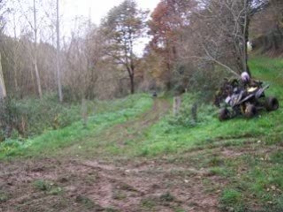 Vincent quad