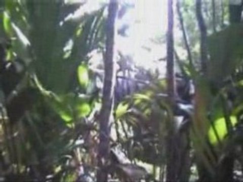 20081003 - Ballade vers les autres cascades 2