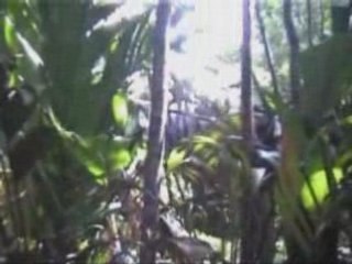 20081003 - Ballade vers les autres cascades 2