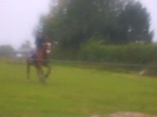 Concours Cross Adrienne2