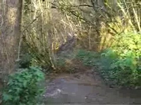 enduro passage de riviére gas gas 300 ec