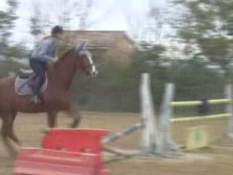 Rhapsodie et cha première séance de saut le 21.11.08