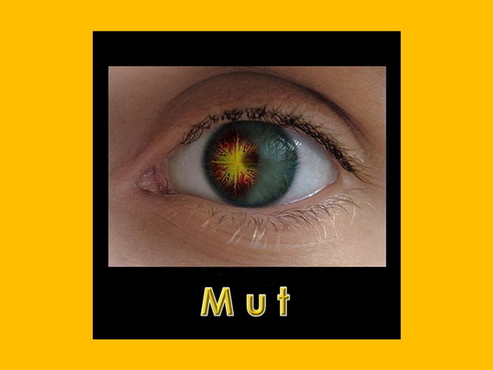 Mut & Heim Collection christian grünberger TIAN GREEN