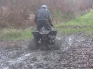 suzuki 400 ltz  (campbell)