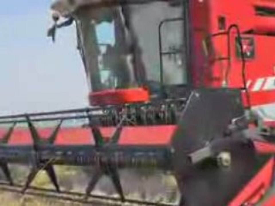 MF 9895