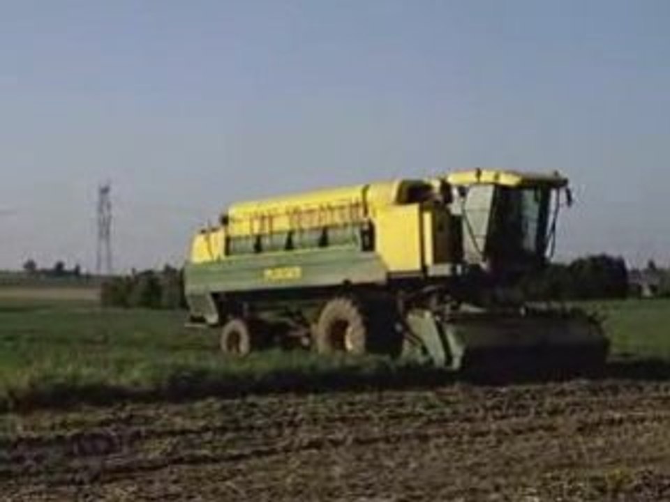 Moisson petit pois