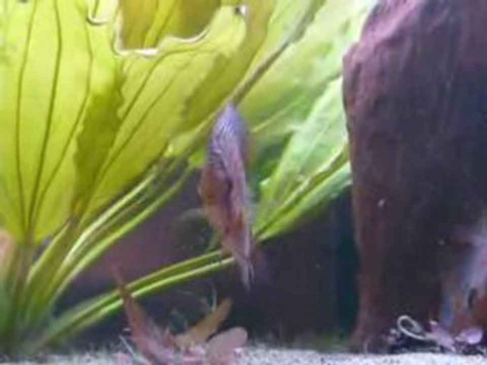 Photo 001
