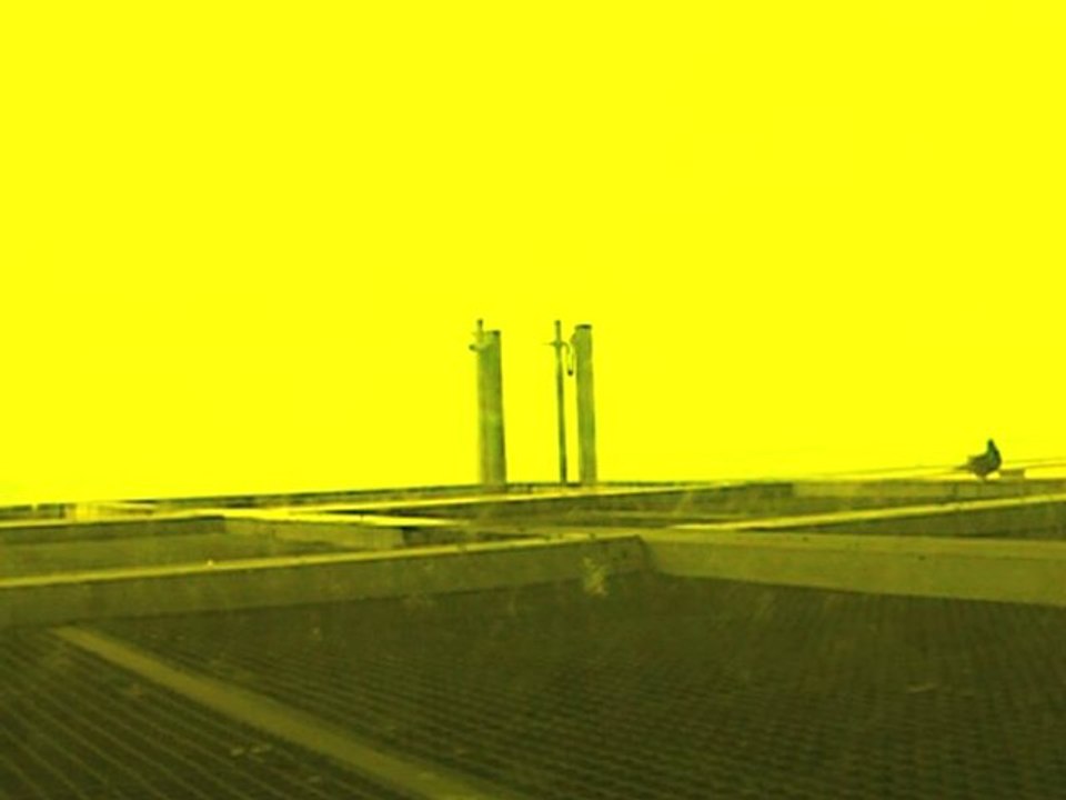 Ciel jaune