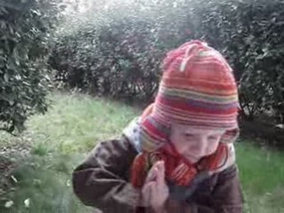 Robin attrape la neige !!