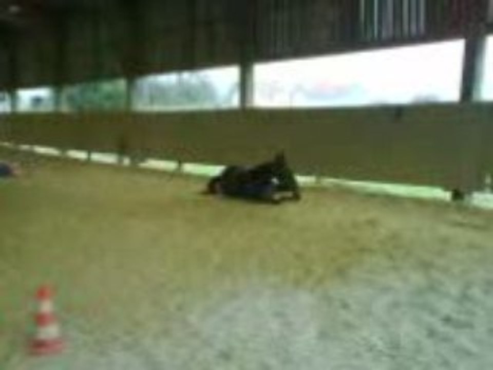 Roulade d'Oscar d'Anbour