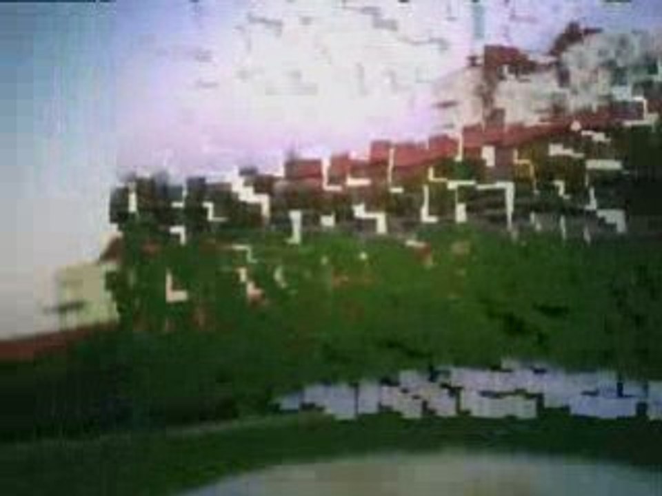 Vol d un t rex 450 se airwolf 9.30mn