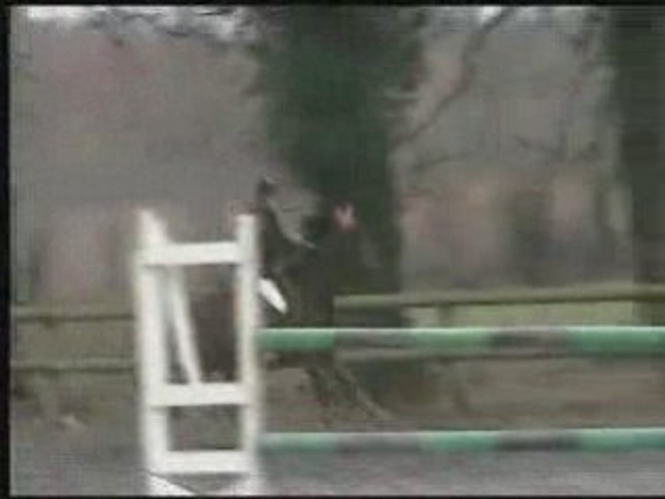 cso club 2 iffendic oscar et moi saut d'obstacle