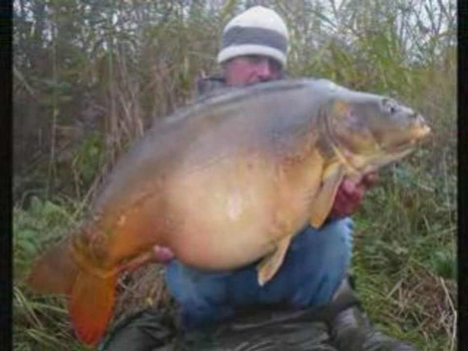 Carp production4208