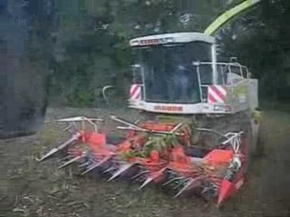 Ensilage maïs 2008 chapitre n°5