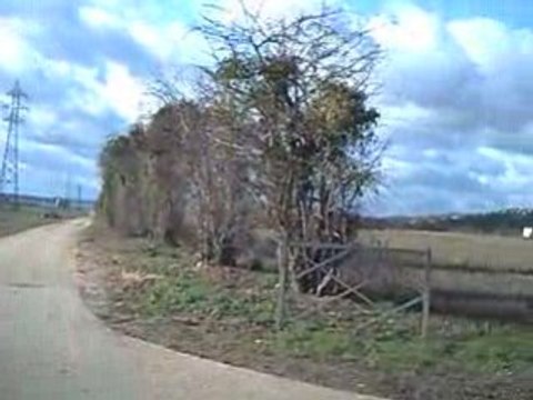 terrains pour un circuit F1 à Flins ?