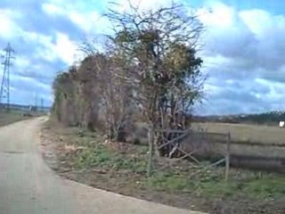 terrains pour un circuit F1 à Flins ?