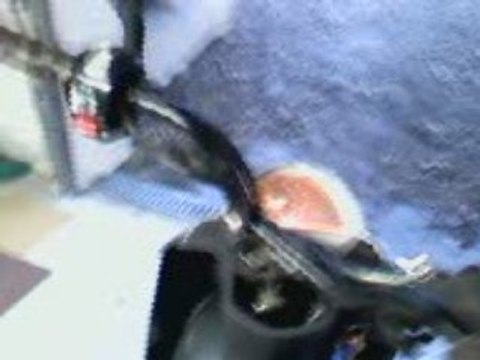 Ludix trend cornet pot ninja